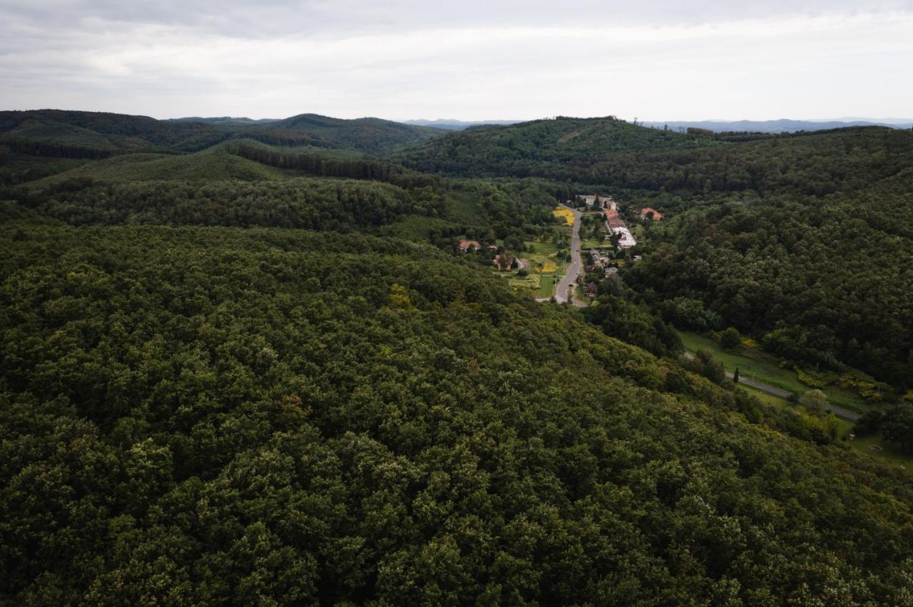 Ferienwohnung Videki Vendeghaz A Buekkben, Pezsgofuerdovel. Királd Exterior foto