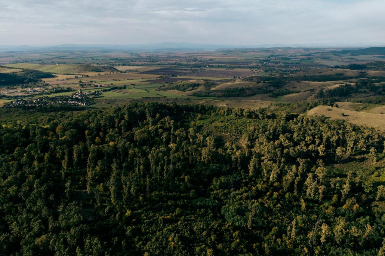 Ferienwohnung Videki Vendeghaz A Buekkben, Pezsgofuerdovel. Királd Exterior foto