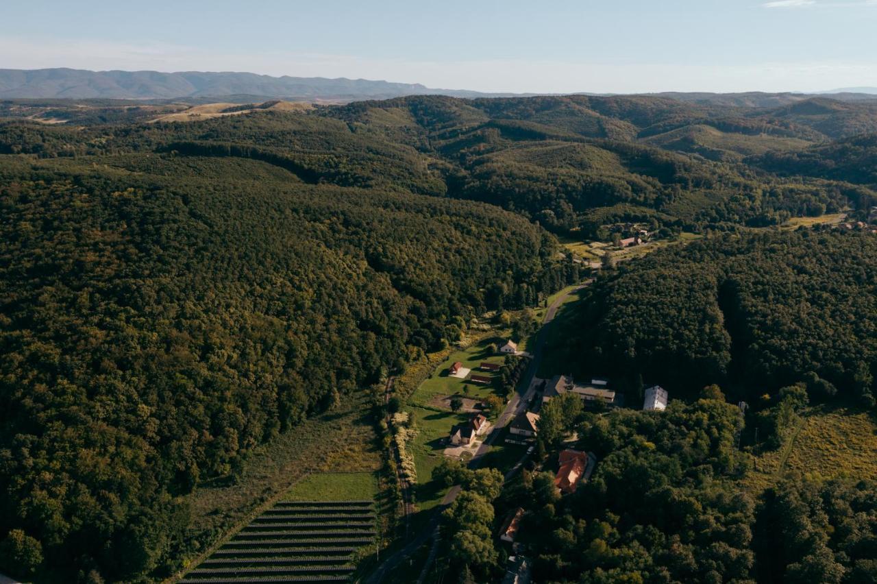 Ferienwohnung Videki Vendeghaz A Buekkben, Pezsgofuerdovel. Királd Exterior foto